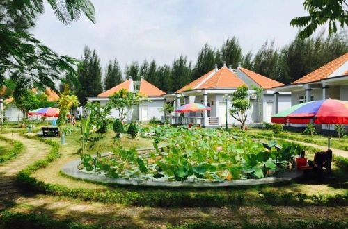 5 homestay đẹp nên thơ, giá tốt đáng ở nhất tại Hải Tiến